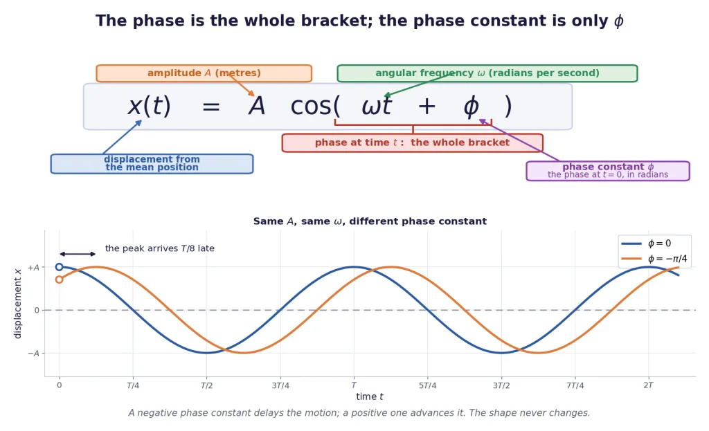 Labelled SHM equation and two curves differing only in phase constant