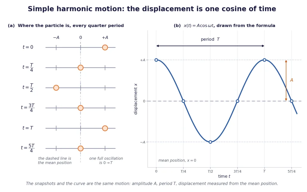 Particle snapshots each quarter period beside its cosine displacement-time graph