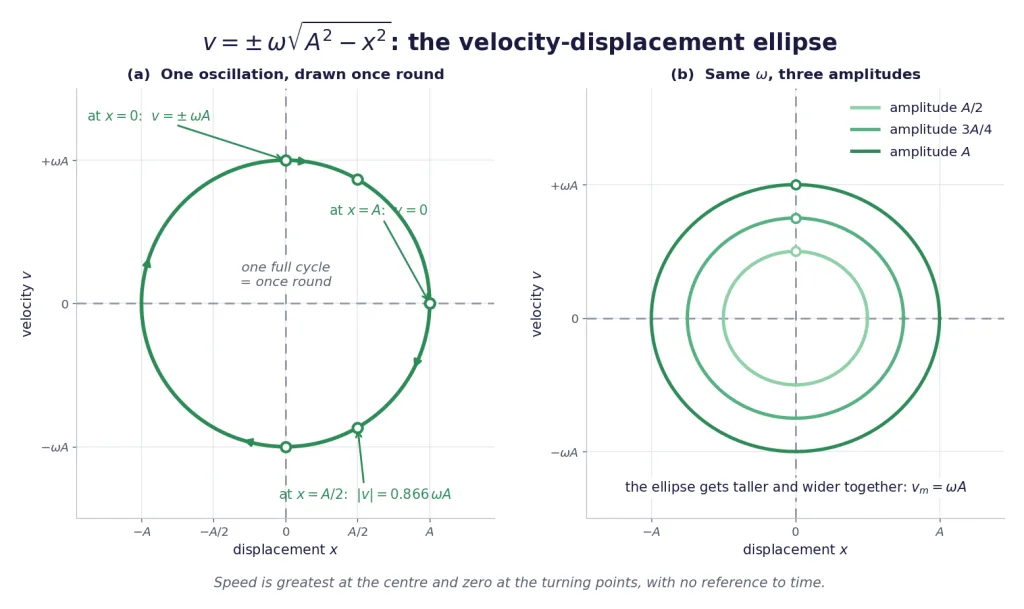 Velocity versus displacement ellipse with marked points and three amplitudes