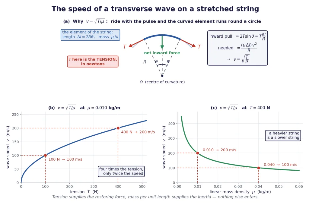 Curved string element on its circle of curvature, and speed against tension and density