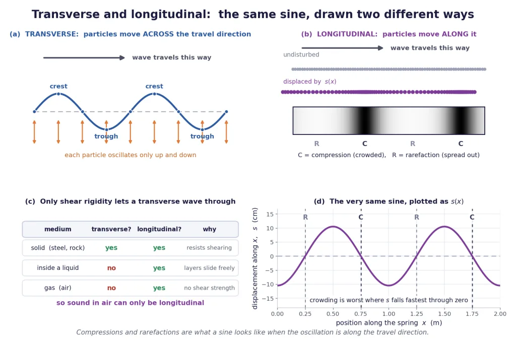 Transverse sinusoid beside computed compressions and rarefactions of a longitudinal wave