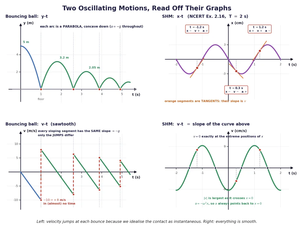 Bouncing ball y-t and v-t graphs beside an SHM x-t and v-t pair