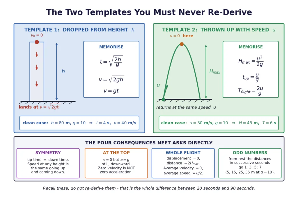Free fall and vertical throw templates with the standard results