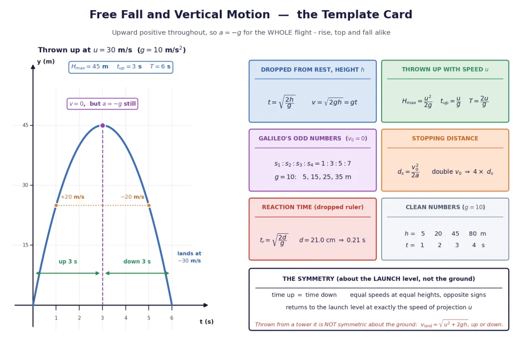Free fall template card with symmetry, Galileo ratio and stopping distance