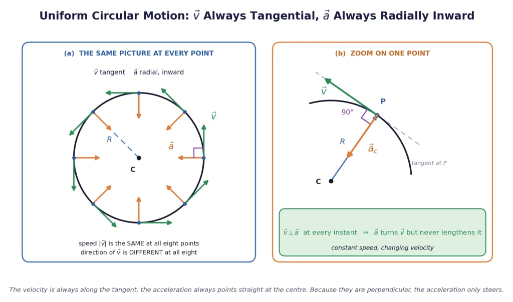Circle with velocity tangential and acceleration radially inward at eight points