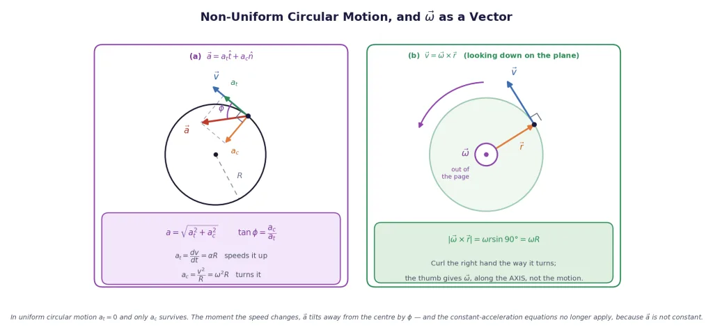 Tangential and radial acceleration adding to the total, and omega along the axis