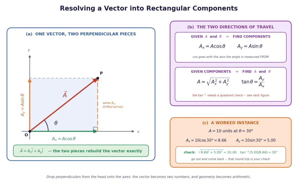 A vector resolved into rectangular components with the angle marked