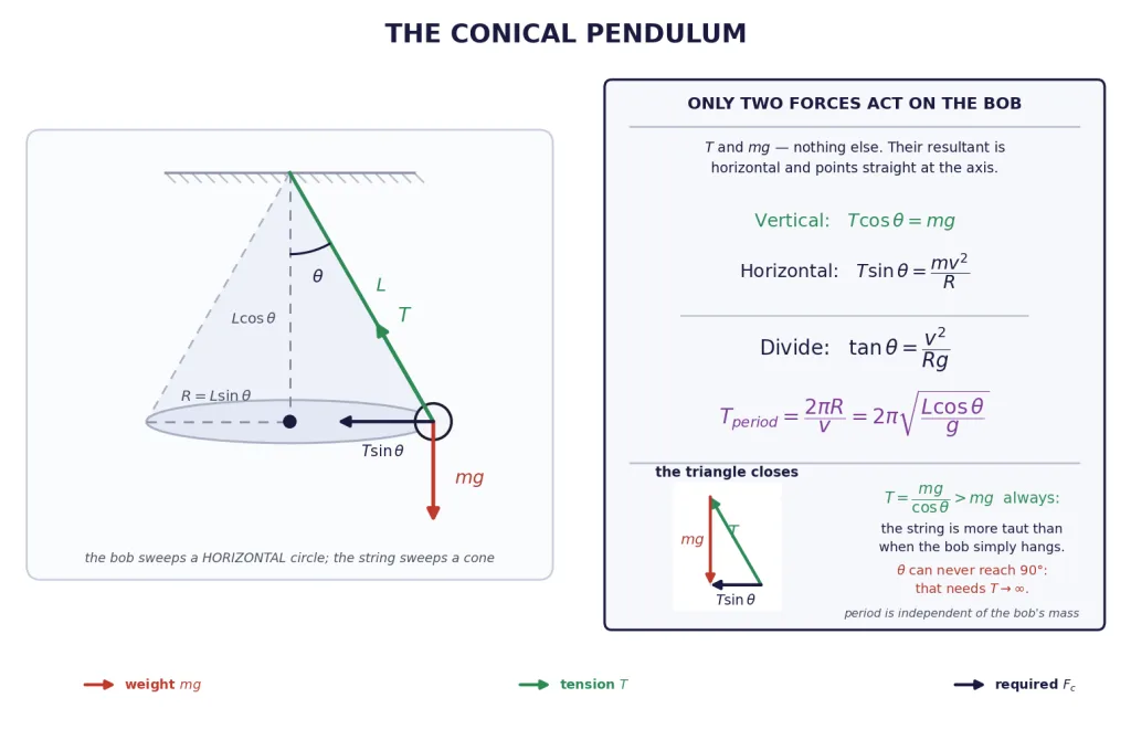 Conical pendulum with the cone, radius, angle and the closed force triangle