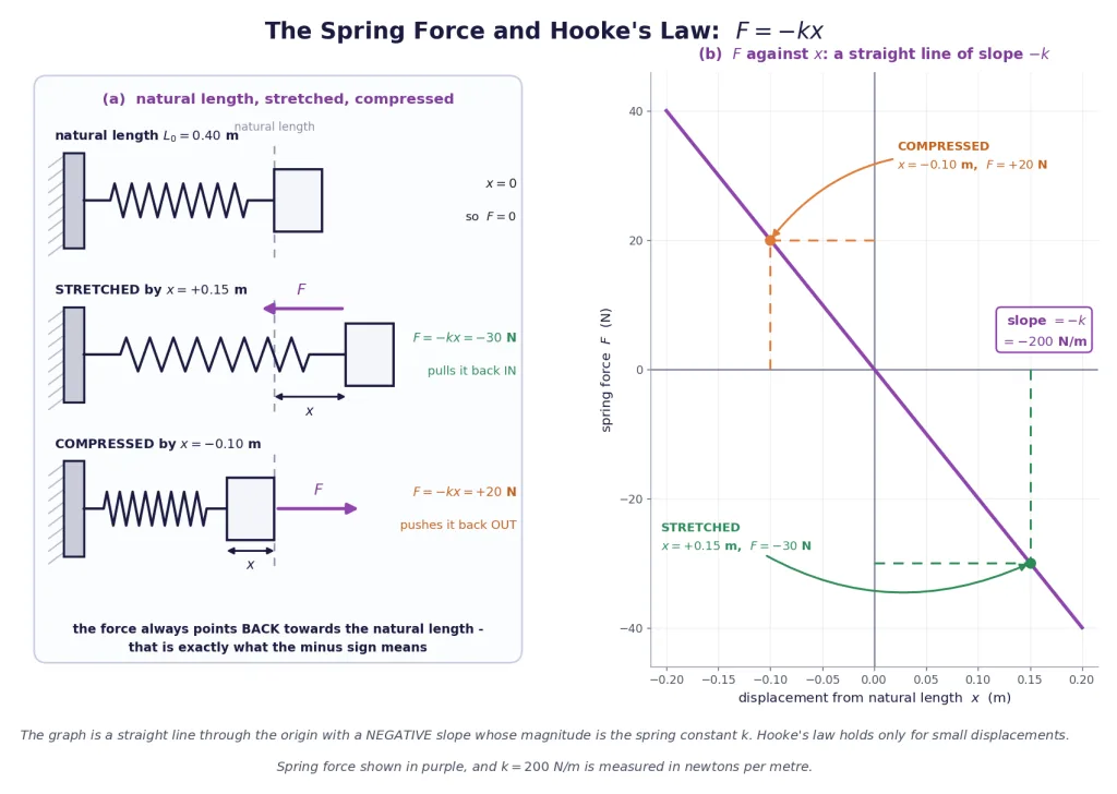 A spring at natural length, stretched and compressed, with the F against x graph