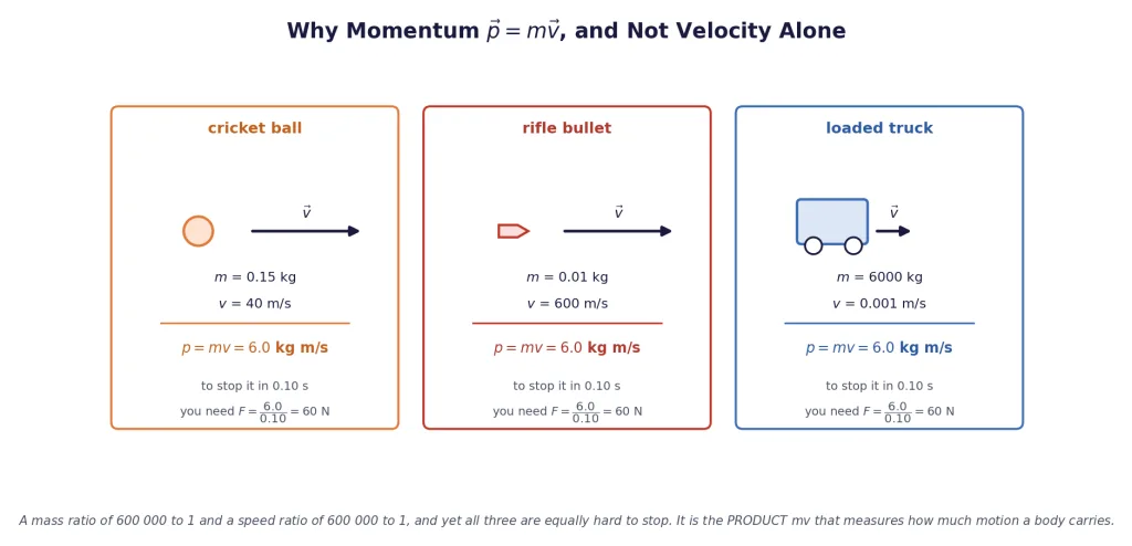 Cricket ball, bullet and truck: three very different bodies with the same momentum