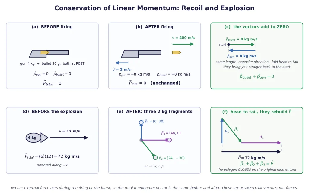 Recoil and explosion drawn before and after with momentum vectors adding up