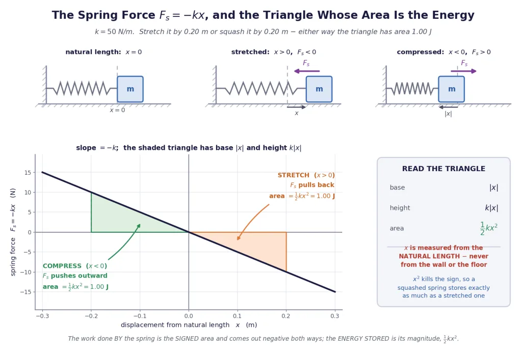 Spring force graph with shaded triangles for stretch and compression
