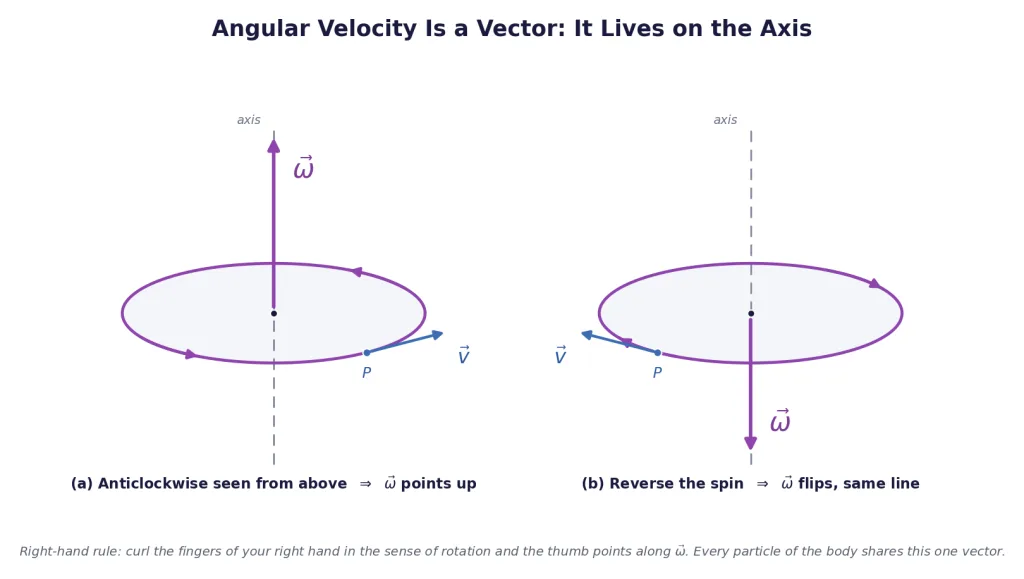 Disc spinning both ways with angular velocity arrow along the axis