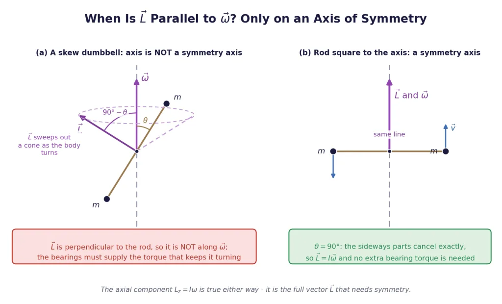 Skew dumbbell whose angular momentum is tilted, and the symmetric case