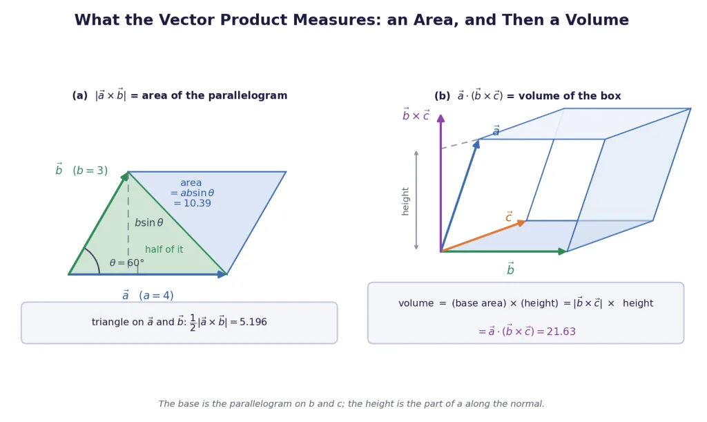 Parallelogram area and parallelepiped volume built from two and three vectors