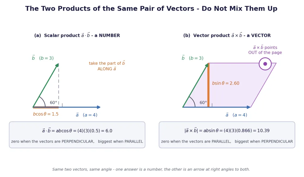 Scalar and vector products of the same two vectors compared side by side