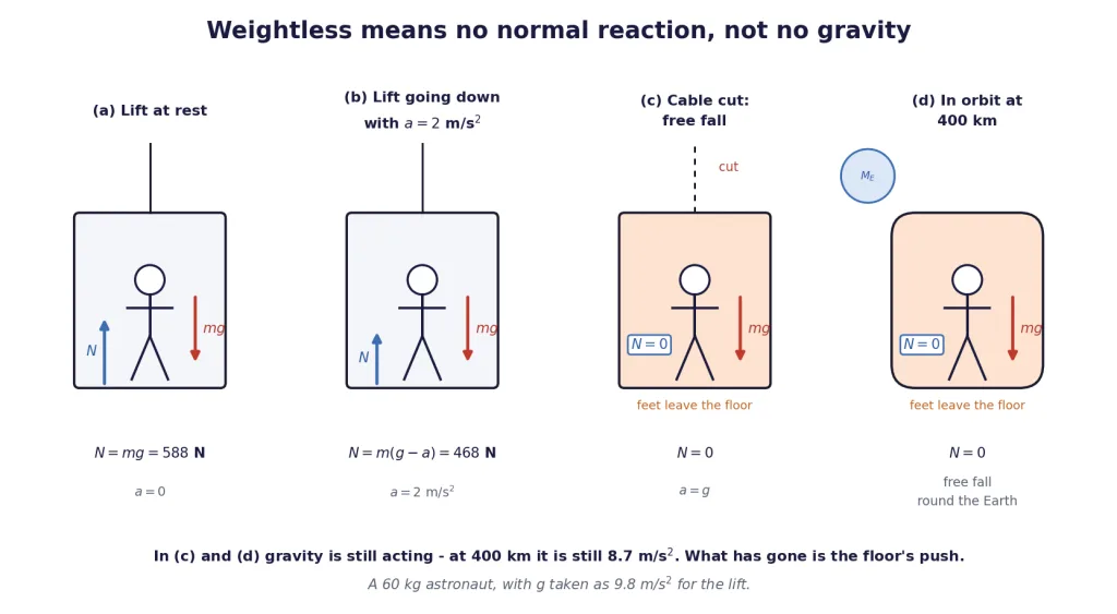 Normal reaction in a lift at rest, decelerating, in free fall, and in orbit