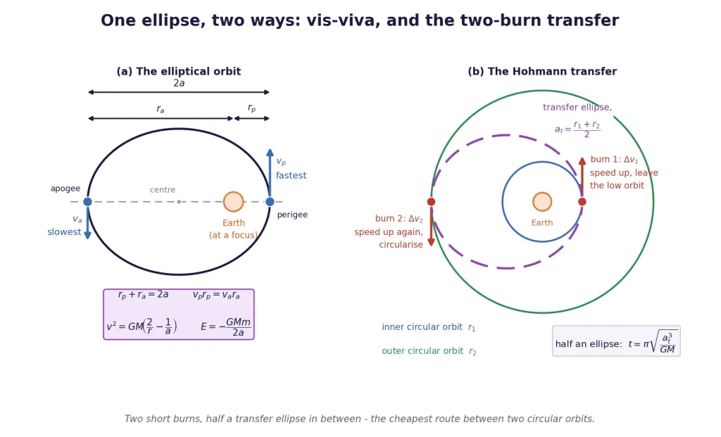 Elliptical orbit with perigee and apogee, and a Hohmann transfer between circles