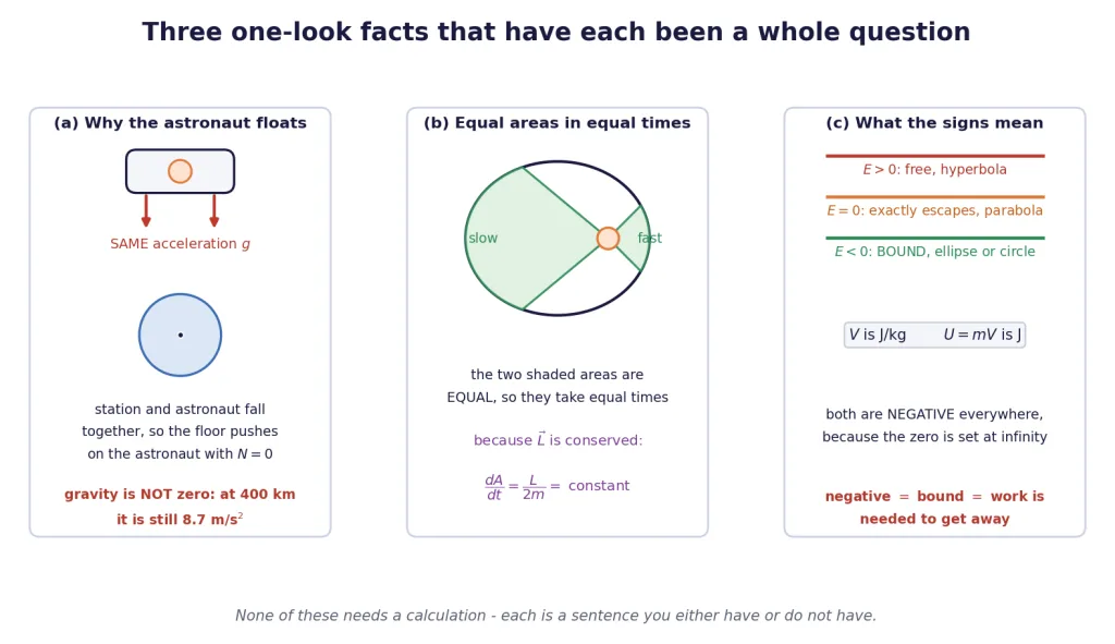 Weightlessness in free fall, the equal-area law, and what the signs mean