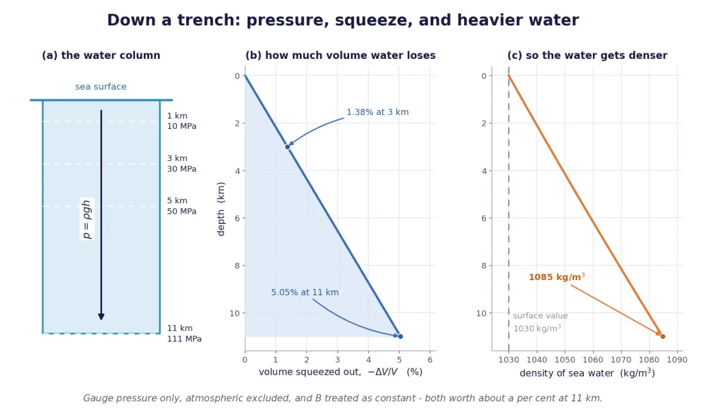 Sea water column with pressure, volume squeeze and density plotted against depth