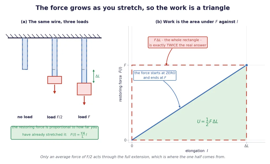 Wire under growing load and the triangle area giving half F delta L