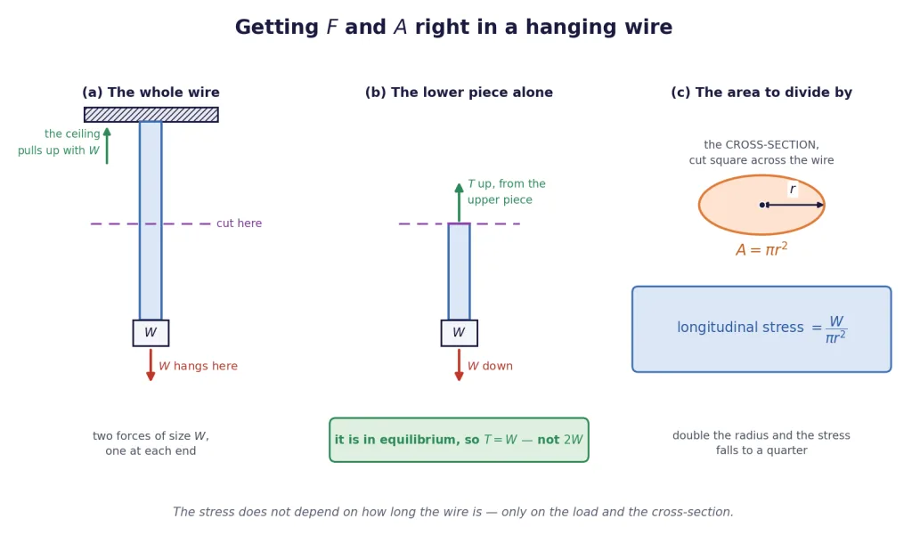 Hanging wire, free body of the lower piece, and the cross-section area