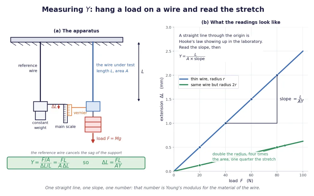 Loaded wire experiment with reference wire, vernier and load, plus load-extension graph