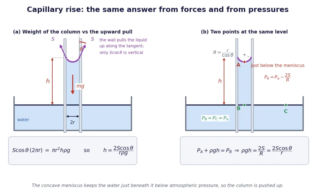 Capillary tube in water with force balance and the pressure argument side by side
