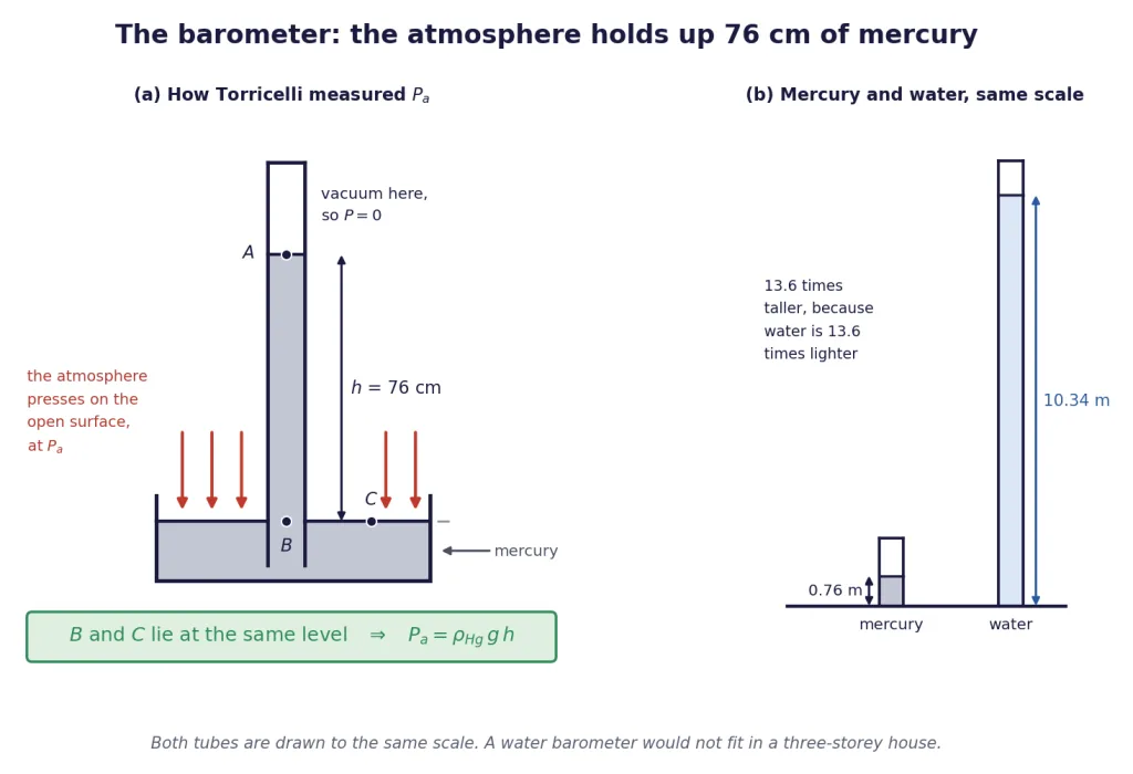Mercury barometer with 76 cm column, and mercury beside water at the same scale