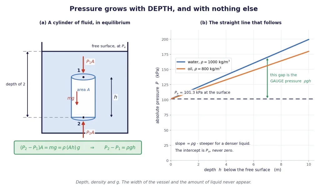 Cylinder of fluid in equilibrium and the straight line of pressure against depth