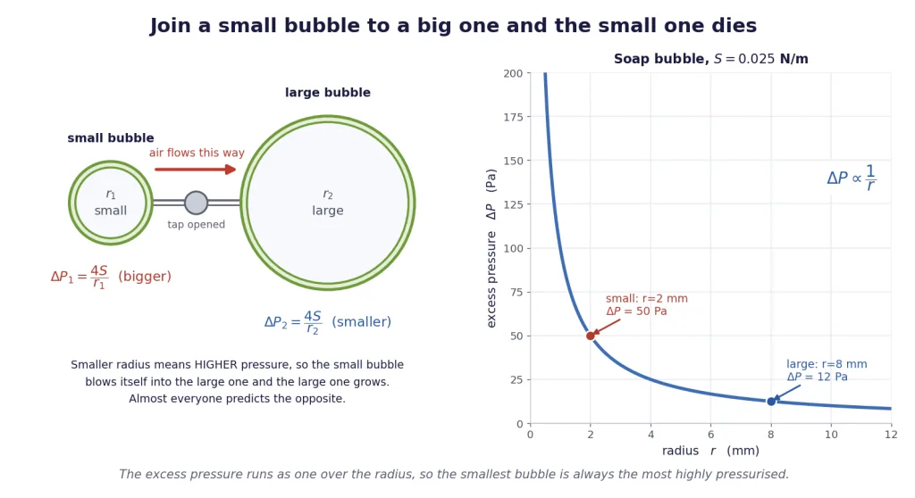 Small bubble joined to large bubble, with inverse-radius pressure curve