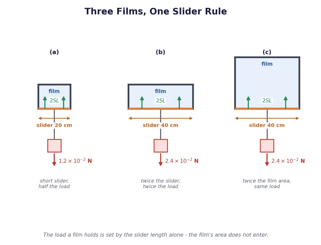Three wire frames with sliders of different lengths supporting hanging weights