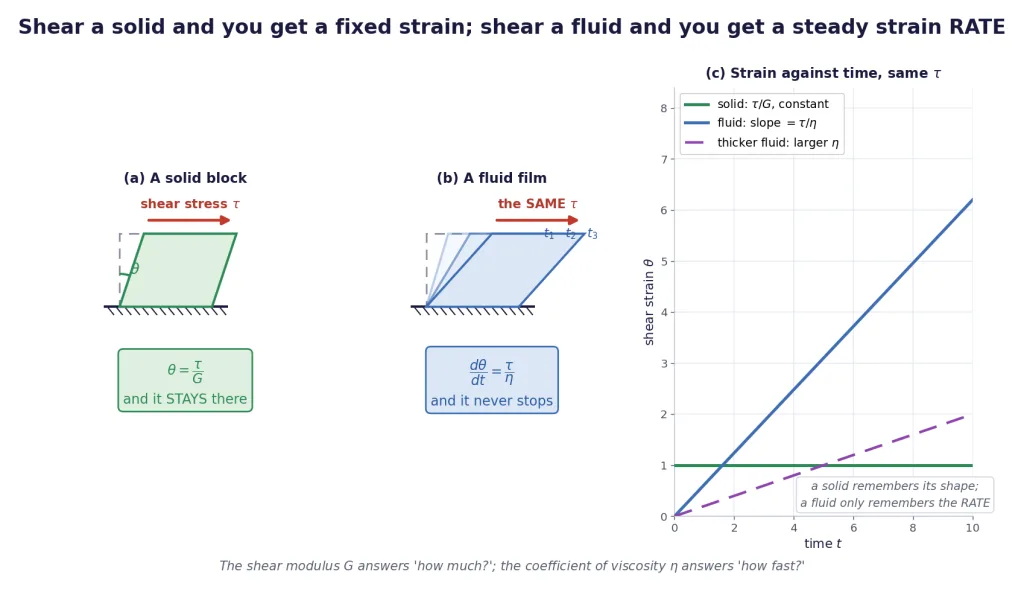 Solid holds a fixed shear strain while a fluid shears at a steady rate