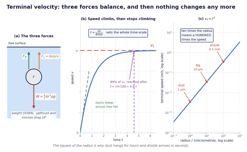 Weight, upthrust and drag on a falling sphere, speed-time curve and the r-squared law