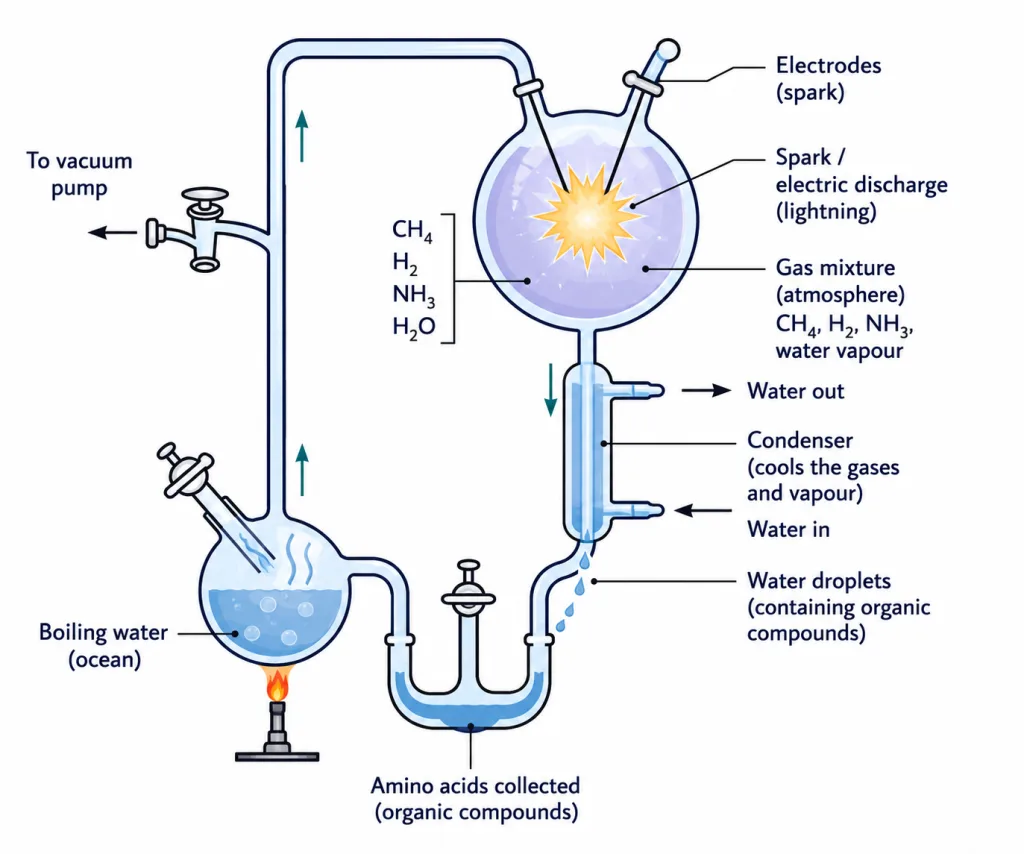 Miller-Urey apparatus with gas flask, electrodes and condenser