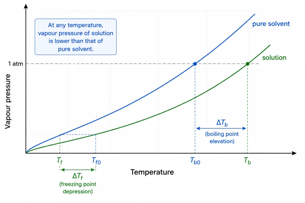 Boiling point elevation and freezing point depression