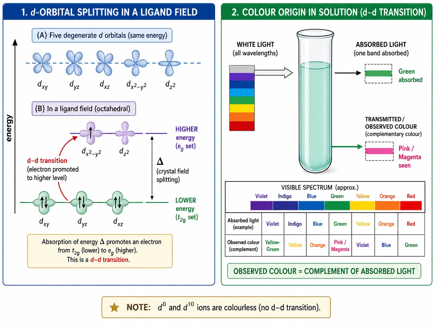 d-orbital splitting and d-d transition producing colour in transition metal ions