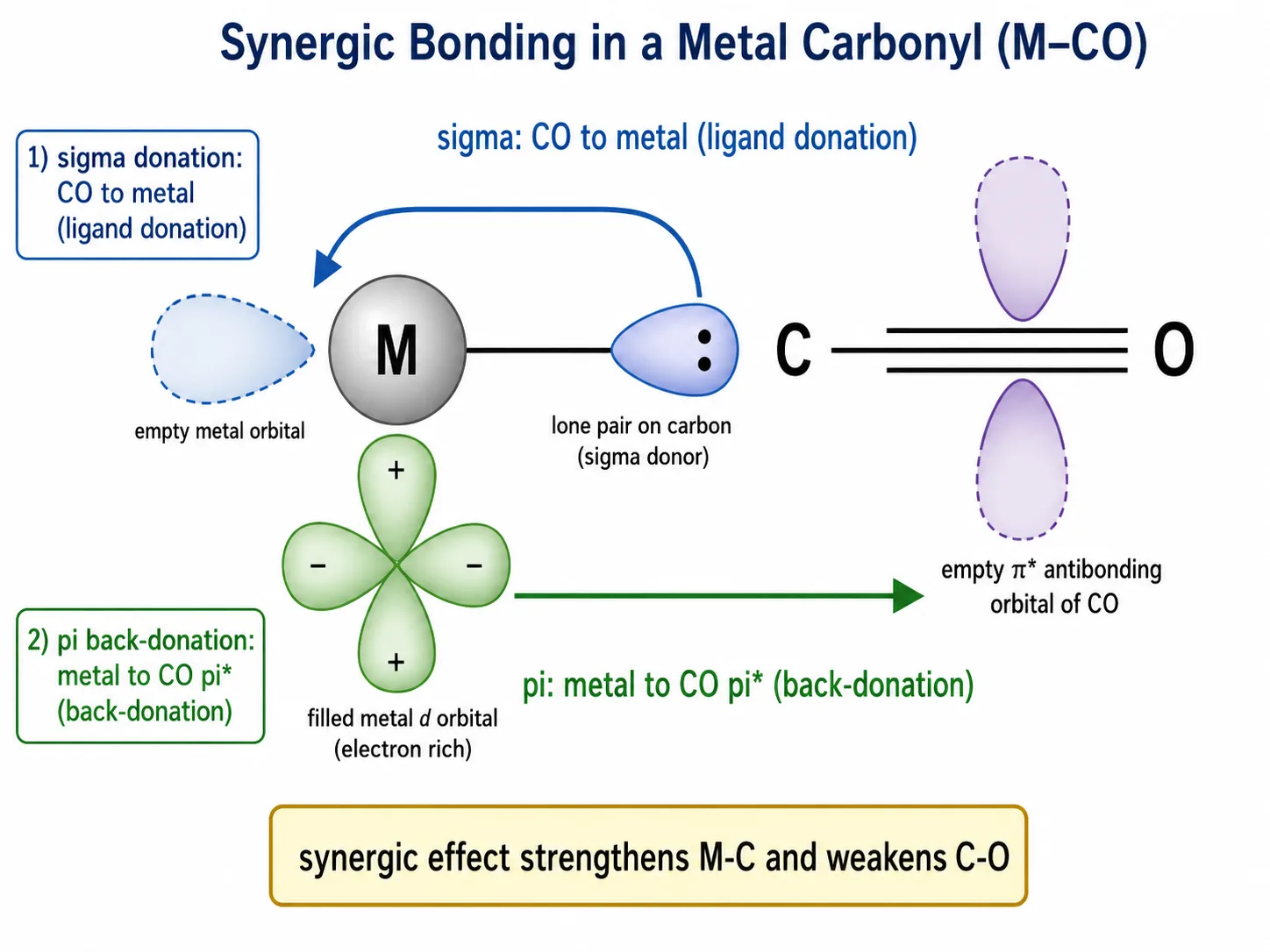 Synergic sigma donation and pi back-bonding in a metal carbonyl