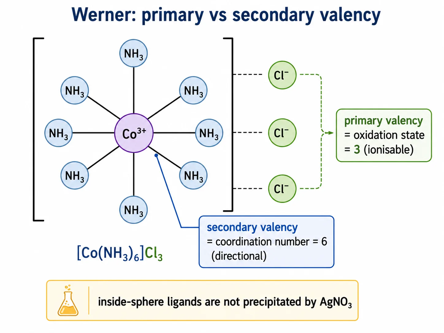 Werner theory diagram of primary and secondary valencies in a cobalt ammine complex