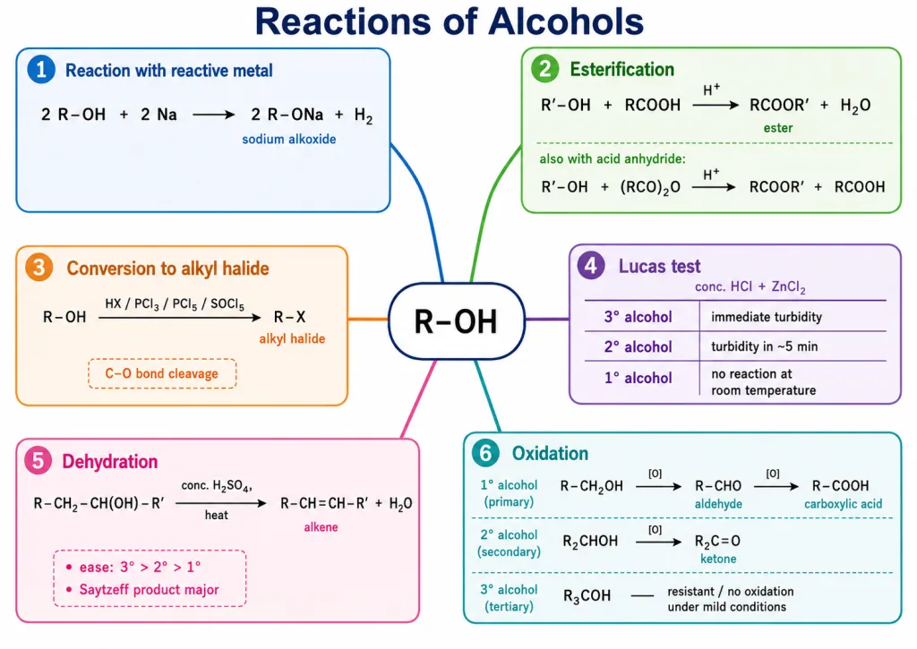 Reactions of alcohols esterification dehydration and oxidation products