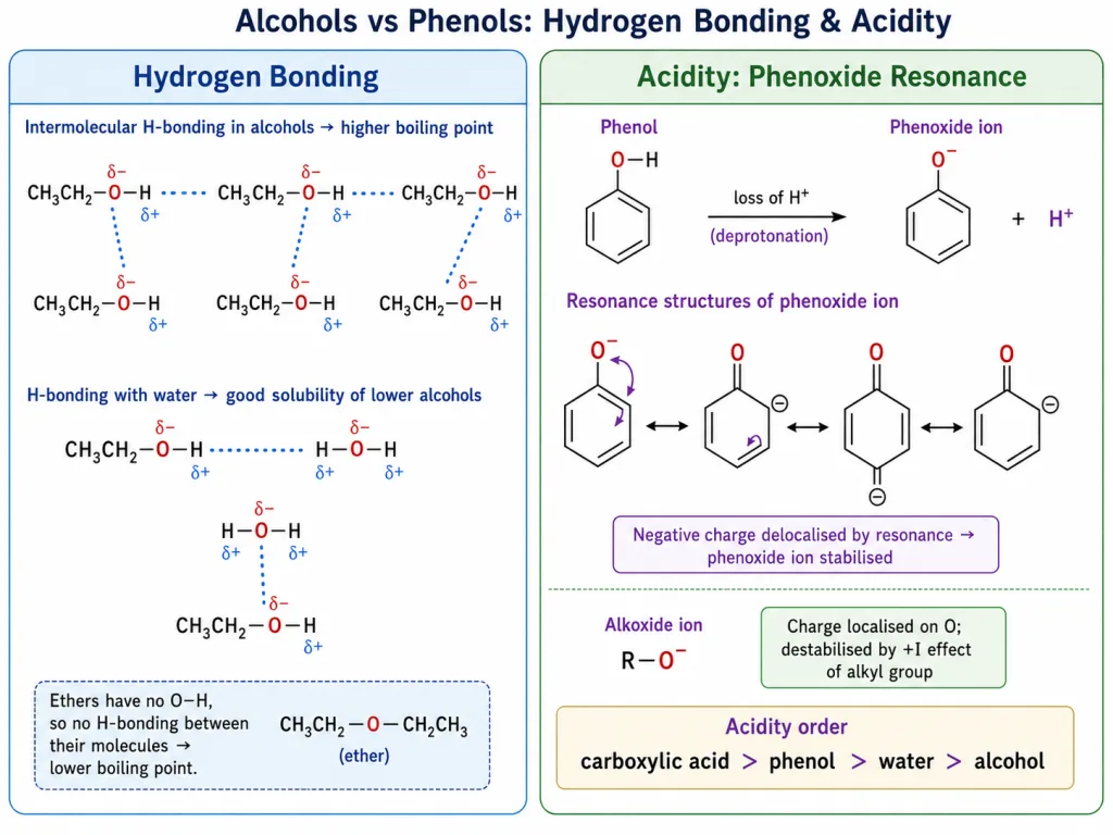 Hydrogen bonding in alcohols and resonance stabilisation of phenoxide ion