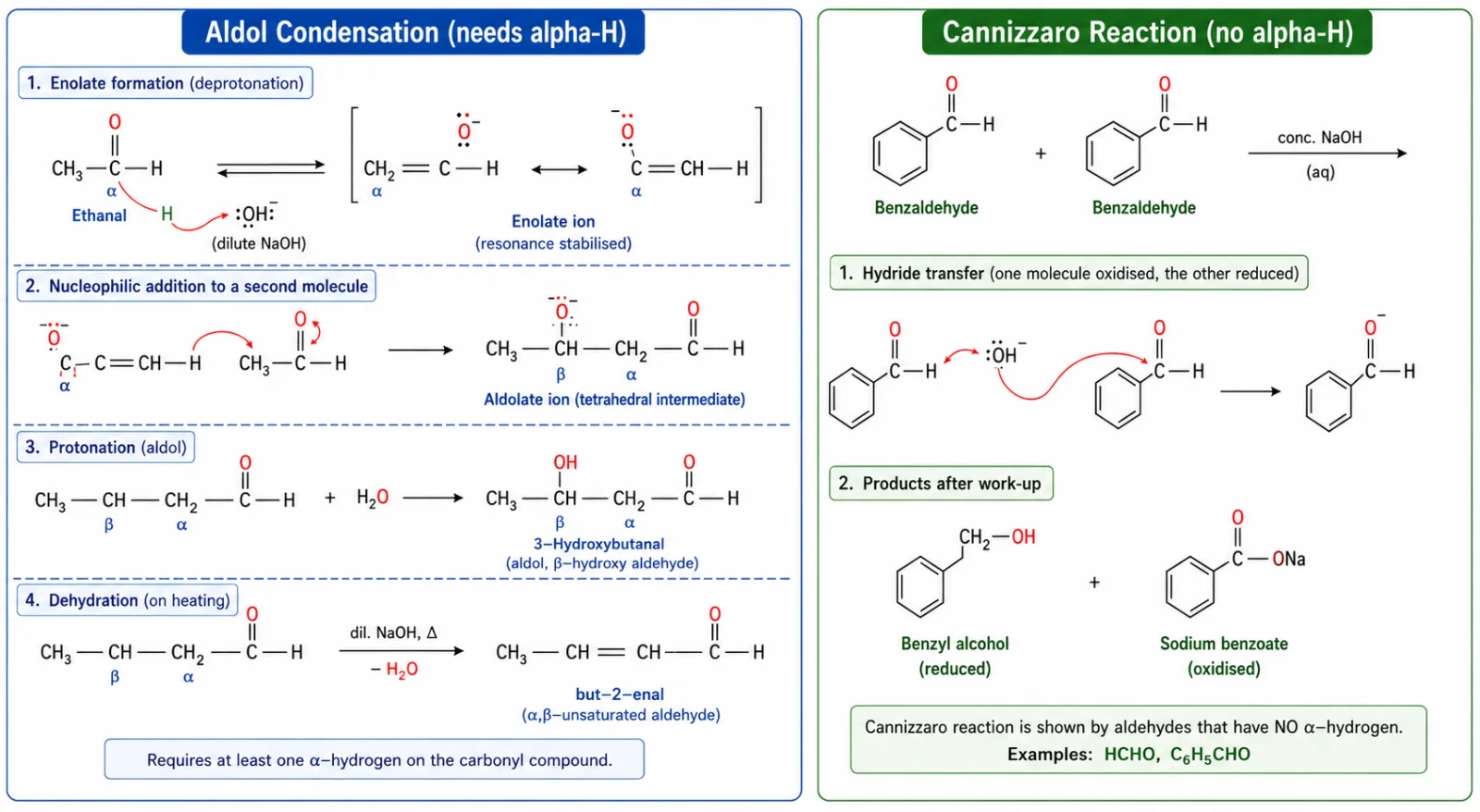 Aldol condensation and Cannizzaro reaction of aldehydes