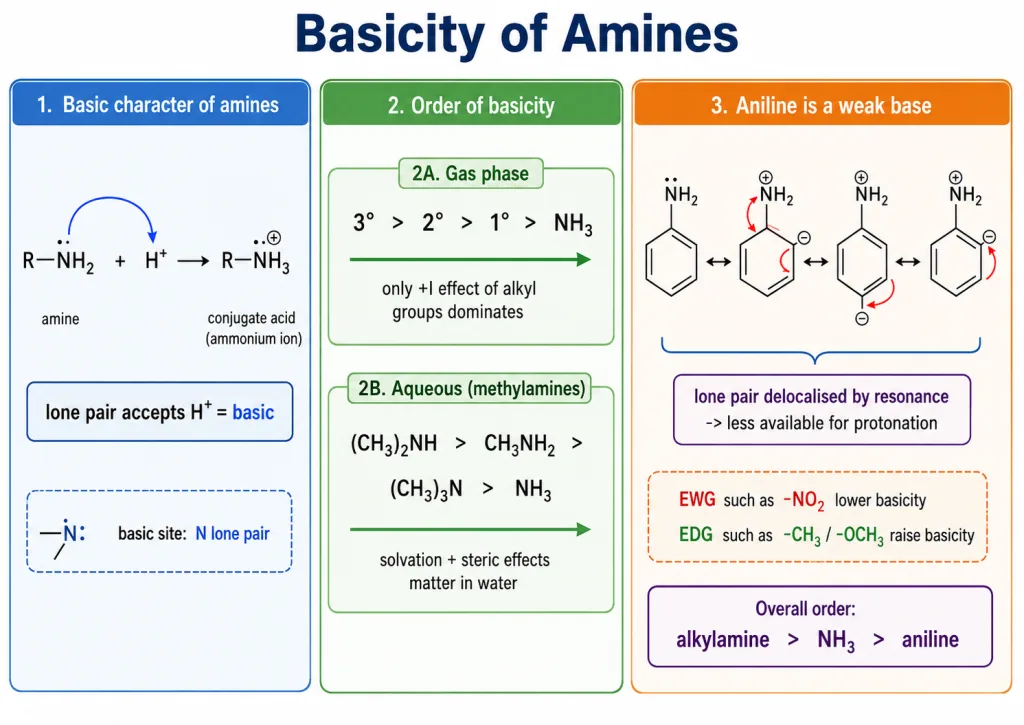Basicity of amines and resonance delocalisation in aniline