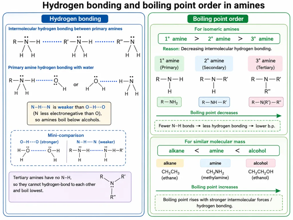 Hydrogen bonding and water solubility of amines