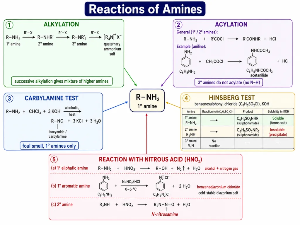 Carbylamine, Hinsberg and nitrous acid reactions of amines