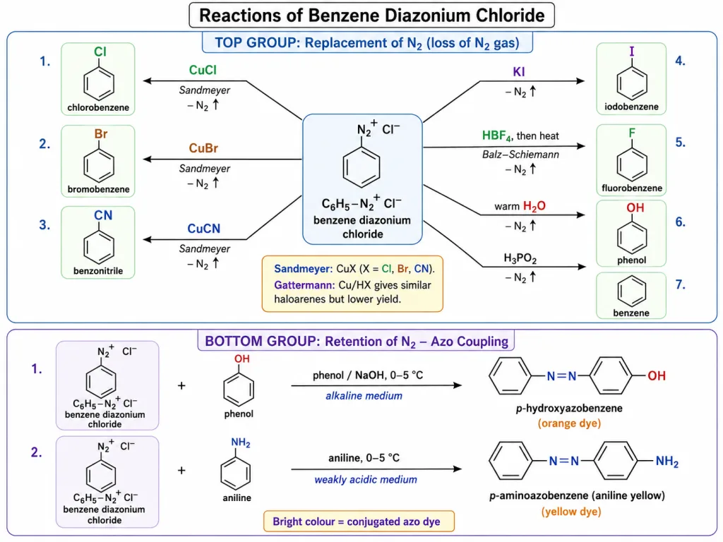 Replacement and azo coupling reactions of benzene diazonium salt