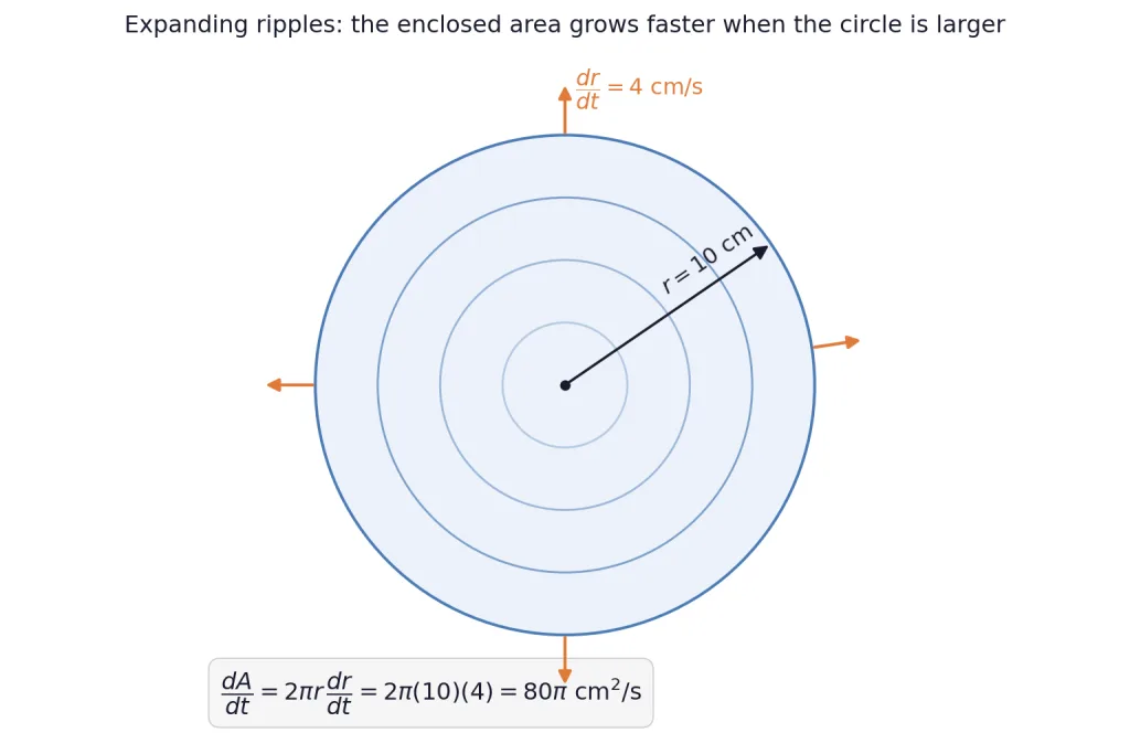 Concentric circular ripples expanding outward with radius growing at 4 centimetres per second
