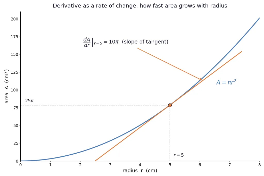 Curve of circle area versus radius with tangent line at r equals 5