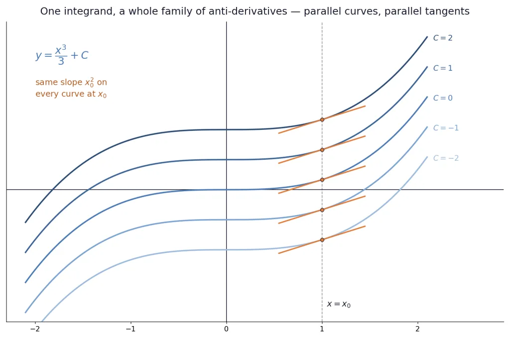 Parallel curves of one antiderivative family shifted vertically by constant C
