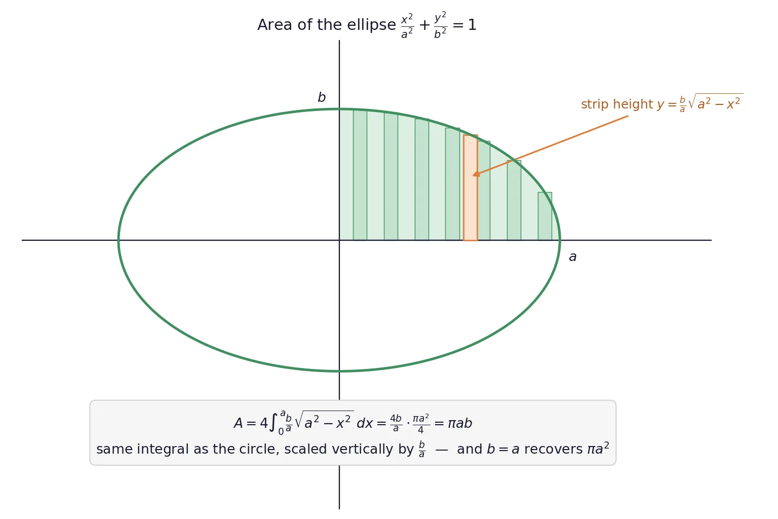 Ellipse with shaded first quadrant sliced into vertical strips